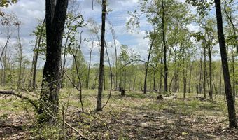 State Hwy N Tract G, Ava, MO 65608