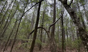 Ridge Road lot E, Appling, GA 30802