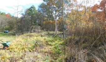 290 Angels Pass Dr Lot 1, Bastian, VA 24314