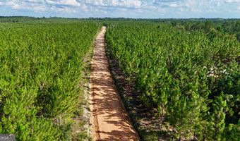TRACT 7 Penny Morris Road, Baxley, GA 31513