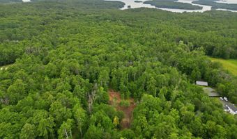 Dane Road lot 29, Center Harbor, NH 03226