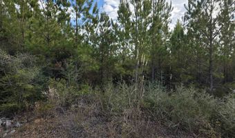 NW Church Road, Altha, FL 32421