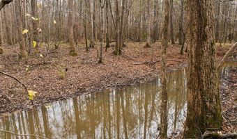 Maddox Road, Ackerman, MS 39735