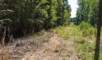 Cassam Road, Bahama, NC 27503