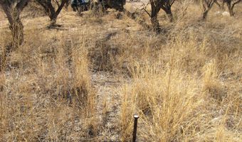 16771 W Arivaca Rd 194, Arivaca, AZ 85601