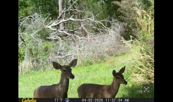 2512 Beulah Church Rd, Alma, GA 31510