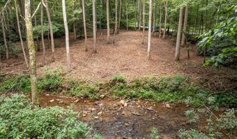 2 9 AC Chestnut Flats Rd, Andrews, NC 28901