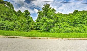Stone Ridge Drive, Andersonville, TN 37705
