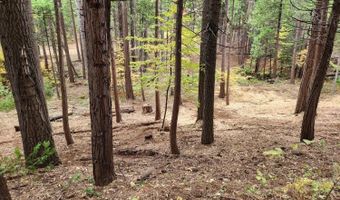 4337 Lakemont Dr, Arnold, CA 95223