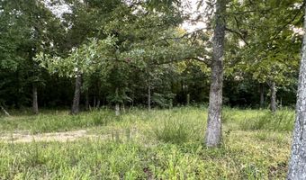 County Road 304, Alton, MO 65606