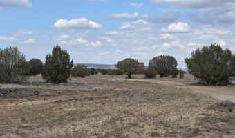 64 Antelope Run, Ash Fork, AZ 86320