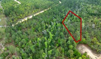 CASTLE CIRCLE, Alford, FL 32420