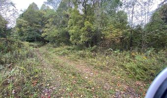 Bandy Rd / Whitaker Ridge Area, Bandy, VA 24602