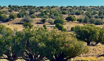 228 County Rd N9328, Concho, AZ 85924