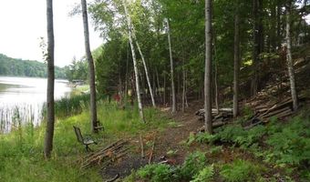S Forest Lake, Alger, MI 48610