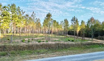 3 AL SR 223, Banks, AL 36005