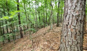 Tbd Bahalia Rd, Brookhaven, MS 39601