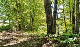 22 Abberton Rd, Canterbury, NH 03224