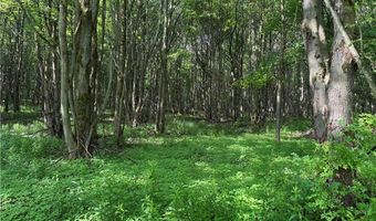 749 Green Rd, Alfred, NY 14803