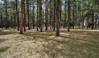 37 Pine Valley Dr, Angel Fire, NM 87710