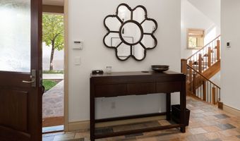 509 W Hopkins Ave, Aspen, CO 81611