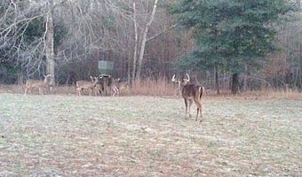 7901 Ashleigh Rd, Blackville, SC 29817