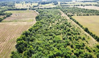 Pine Prairie Rd, Ashdown, AR 71822