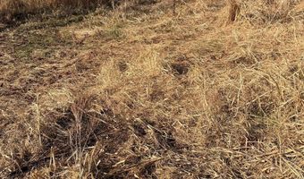 BLACK SWAMP ROAD, Felton, DE 19943