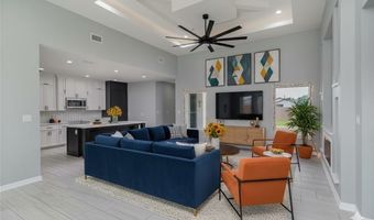 611 Tower Oak Dr, Alamo, TX 78516