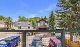 915 E Hopkins Ave 4, Aspen, CO 81611