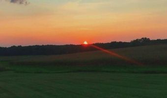 7631 Gray Rd, Alma, IL 62807