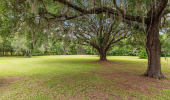 12014 NW 136TH St, Alachua, FL 32615