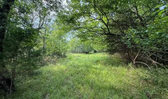 Tract 5 Highway 70, Bennington, OK 74723