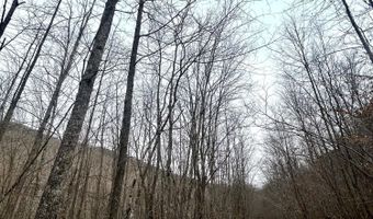 Brair Fork Road, Bean Station, TN 37708