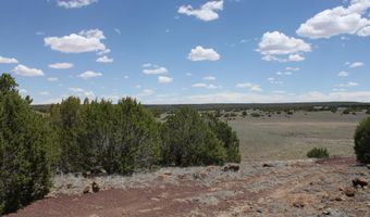 N8190, Concho, AZ 85924