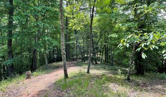 21 Collett Woods Trl Lot #21, Andrews, NC 28901