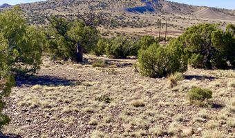 Tbd Co Rd 5062 Lot 1 3.53 Acres, Concho, AZ 85924