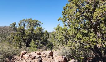 363 Big Vw, Ash Fork, AZ 86320