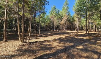 22 Peterson Creek Rd, Aurora, NC 27806