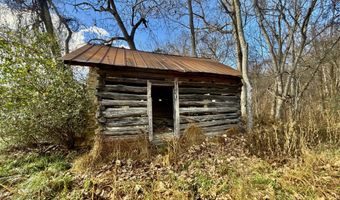 1520 Brittontown Rd, Afton, TN 37616