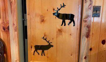 124 Ski Rd, Allenspark, CO 80510