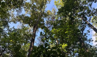 Lot 2B Gidsville Road, Amherst, VA 24521