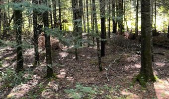 2823 River Ridge Rd, Alger, MI 48610