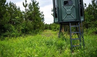 7400 Amon Hill Rd, Bastrop, LA 71220