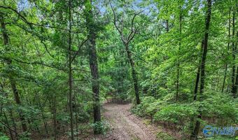 Unit # 0 Murphree Valley Road, Altoona, AL 35952