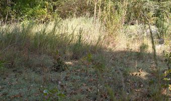 Cr 816, Blue Mountain, MS 38610