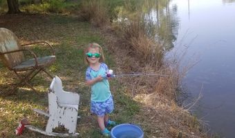 13962 State Highway 95 N, Abbeville, AL 36310