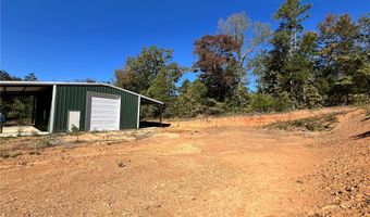 1011 Granny Hollar Rd, Atkins, AR 72823