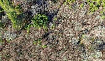 1500 SHOAL CREEK Rd Lot 0, Ashville, AL 35131