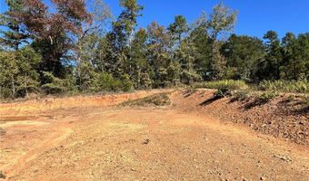 1011 Granny Hollar Rd, Atkins, AR 72823